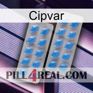 Cipvar 23